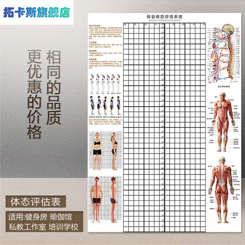 身体评估墙图体姿体态评估表壁纸瑜伽H健身私教姿势分析体测表挂