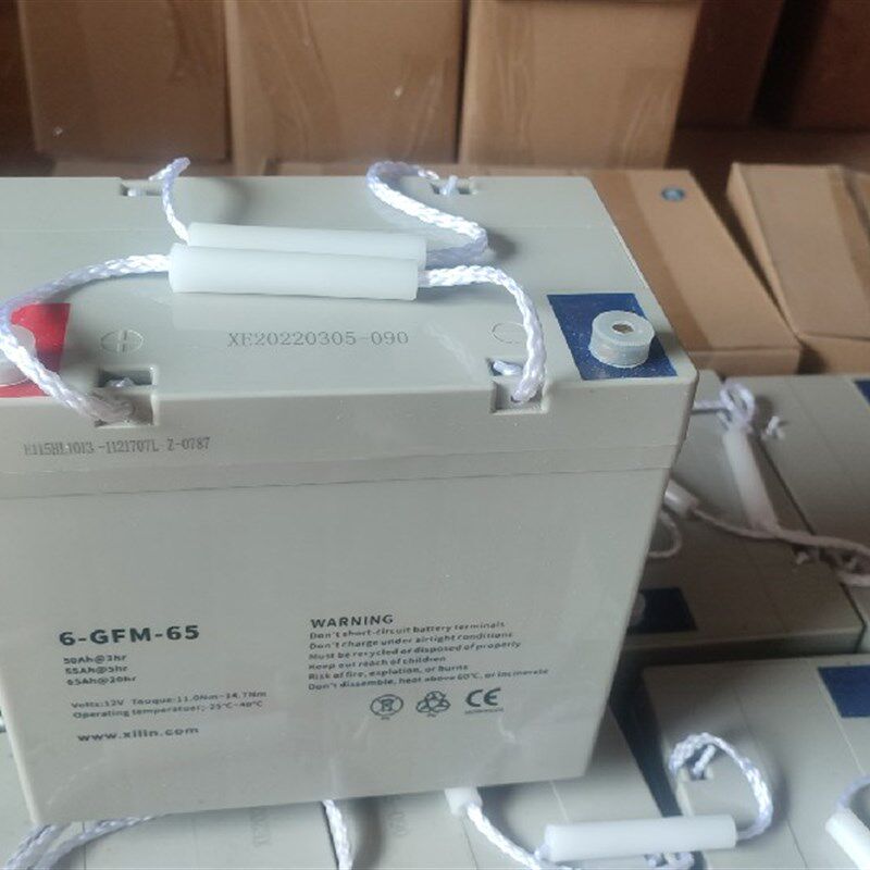 xiling西林叉车搬运车电池12V65Ah一只