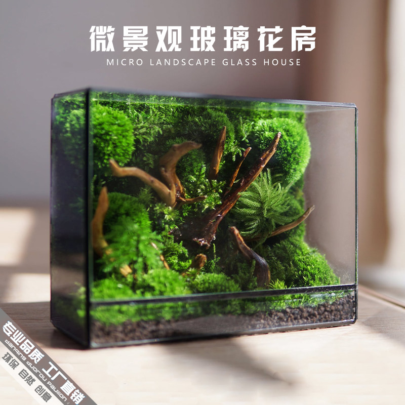 微景观几何玻璃花房苔藓墙玻璃缸桌面生态瓶N造景植物微缩森林景