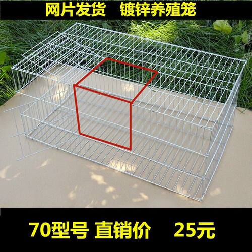 鸽子笼养殖笼大号鸡笼家用兔笼镀锌铁丝笼鸽子配对笼鹌Z鹑笼宠物