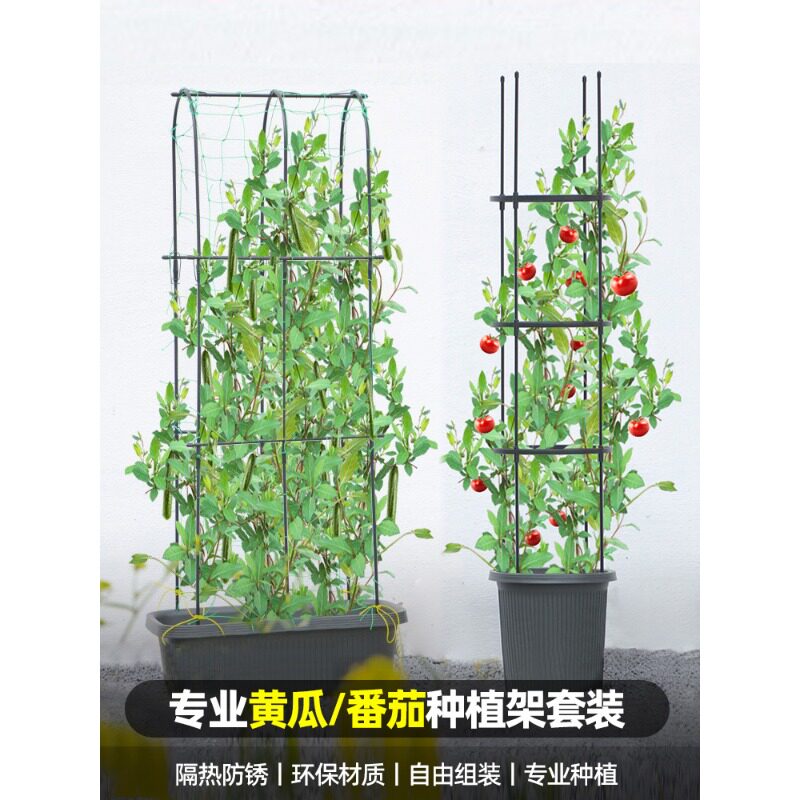 番茄黄瓜a爬藤架植物攀爬架阳台菜架子室外蔬菜西红柿月季架支撑