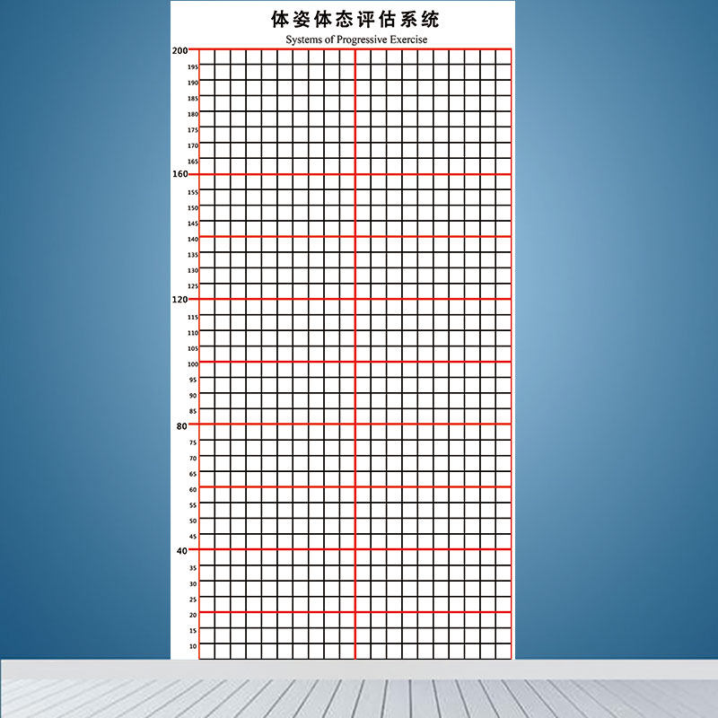 体态评估a图壁画健身房体测表身体形体测评脊椎修复墙装饰瑜伽私