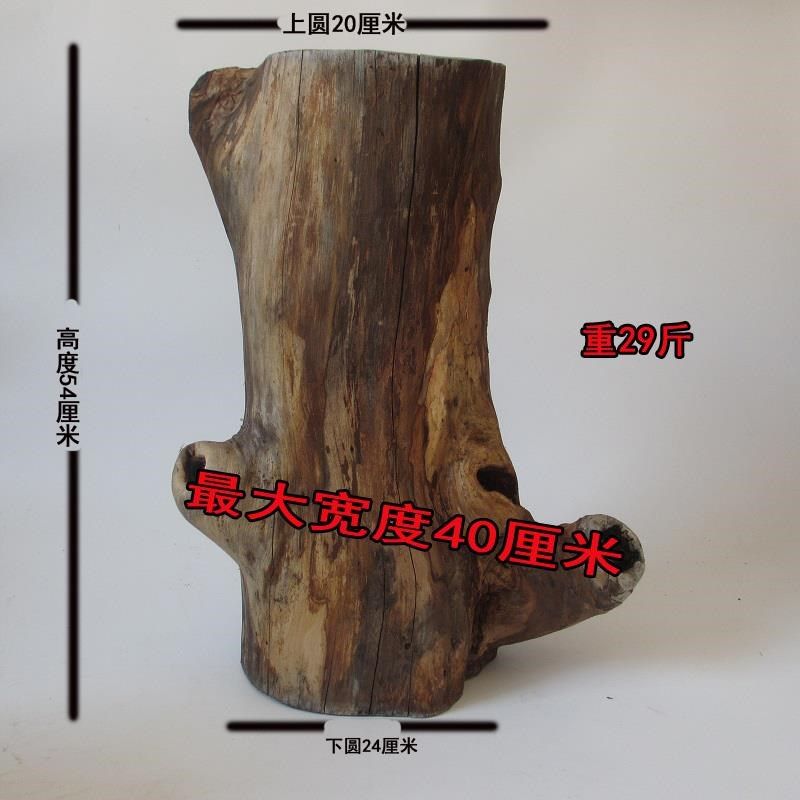 原木墩树桩树干拍摄道具手工园艺枯木装饰木O摆件木底座自然风化