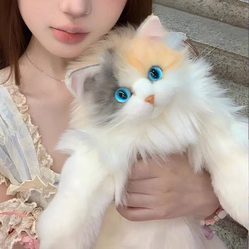 网红仿真布偶背包三花猫毛绒娃娃玩偶公仔女生礼物玩具圣诞礼物 - 实物图