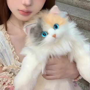 网红仿真布偶背包三花猫毛绒娃娃玩偶公仔女生礼物玩具圣诞礼物