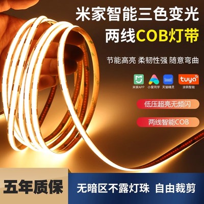 已接入米家三色COB无极调光灯带