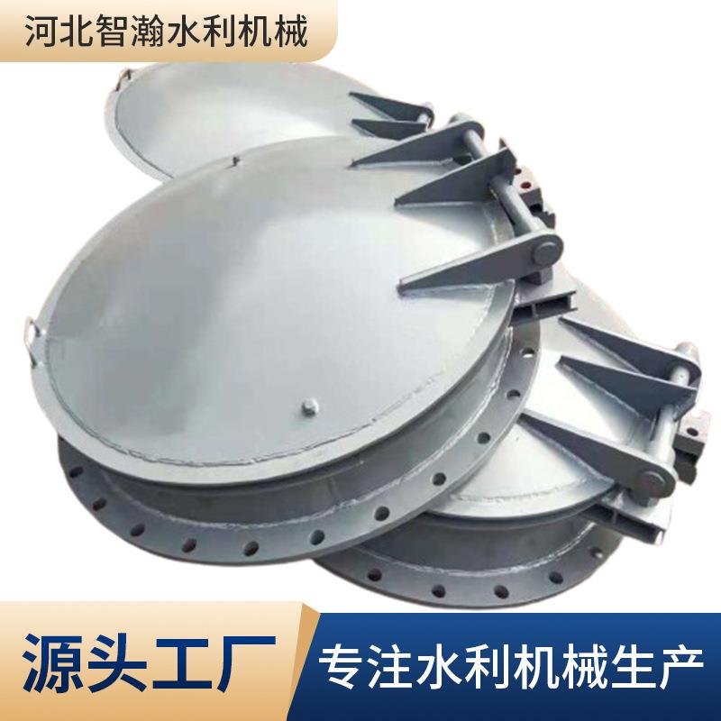 不锈钢塑料钢制拍门铸铁圆形拍门法兰镶铜铸铁拍门DN系列厂家现货
