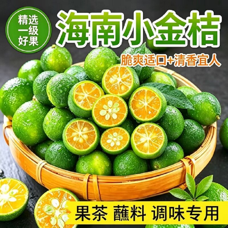 海南小金桔青桔青柠丨产地直发