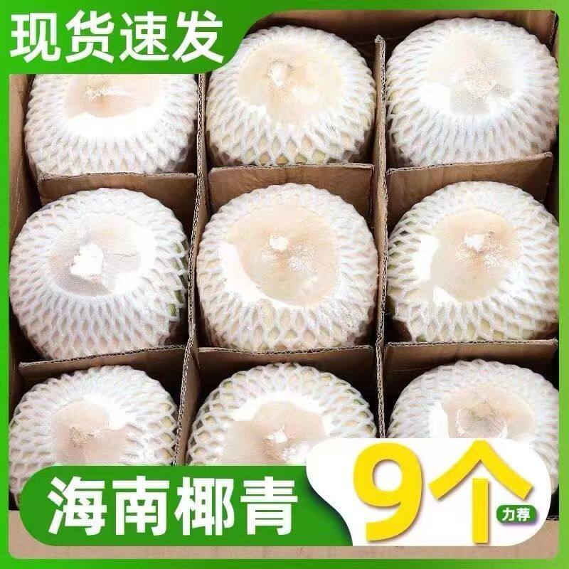 海南椰青丨纯天然无添加椰子水