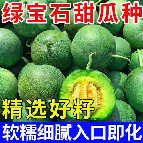 【超甜】绿宝石甜瓜种子超甜薄皮香瓜冰糖春季脆瓜高青皮产香瓜籽