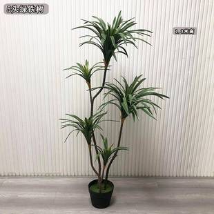 仿真手感红边铁树手感叶子龙血树ins家居摆件落地千年木盆裁植物