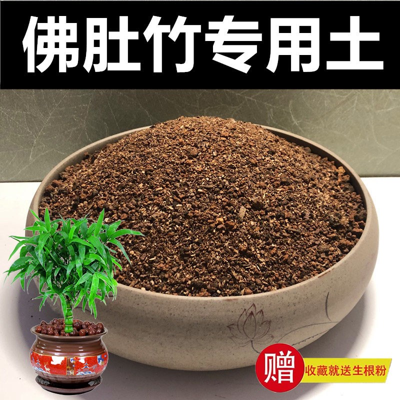 佛肚竹罗汉竹专用土种竹子营养土颗粒土种植土风化土红沙土酸性土