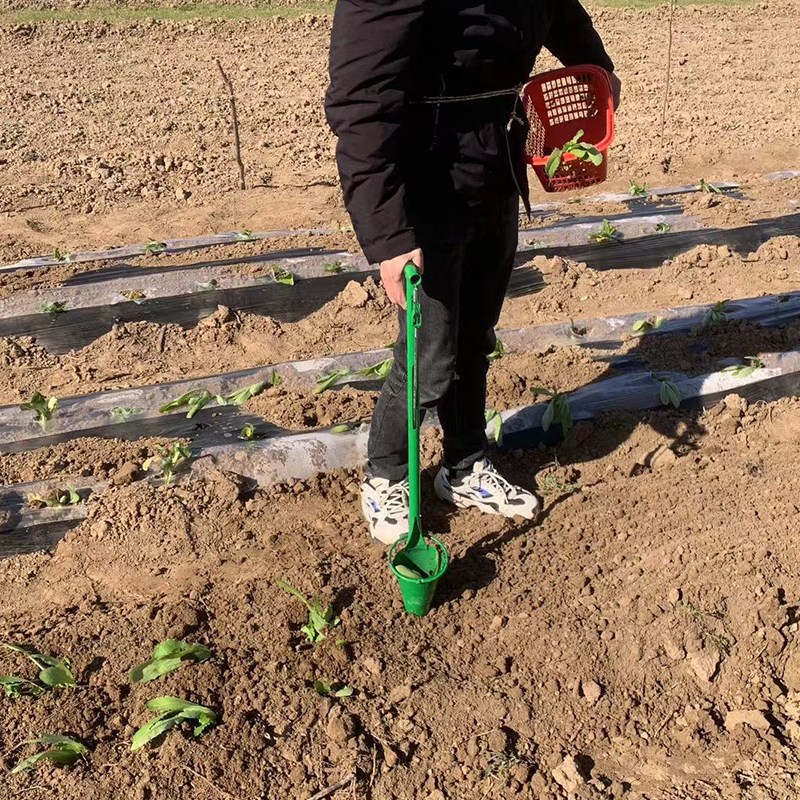 2024新款栽苗器土豆辣椒番茄西瓜栽苗神器蔬菜种植工具移苗移栽机