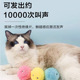 猫玩具自嗨解闷神器叫叫球逗猫棒猫薄荷耐咬小猫幼猫宠物猫咪用品