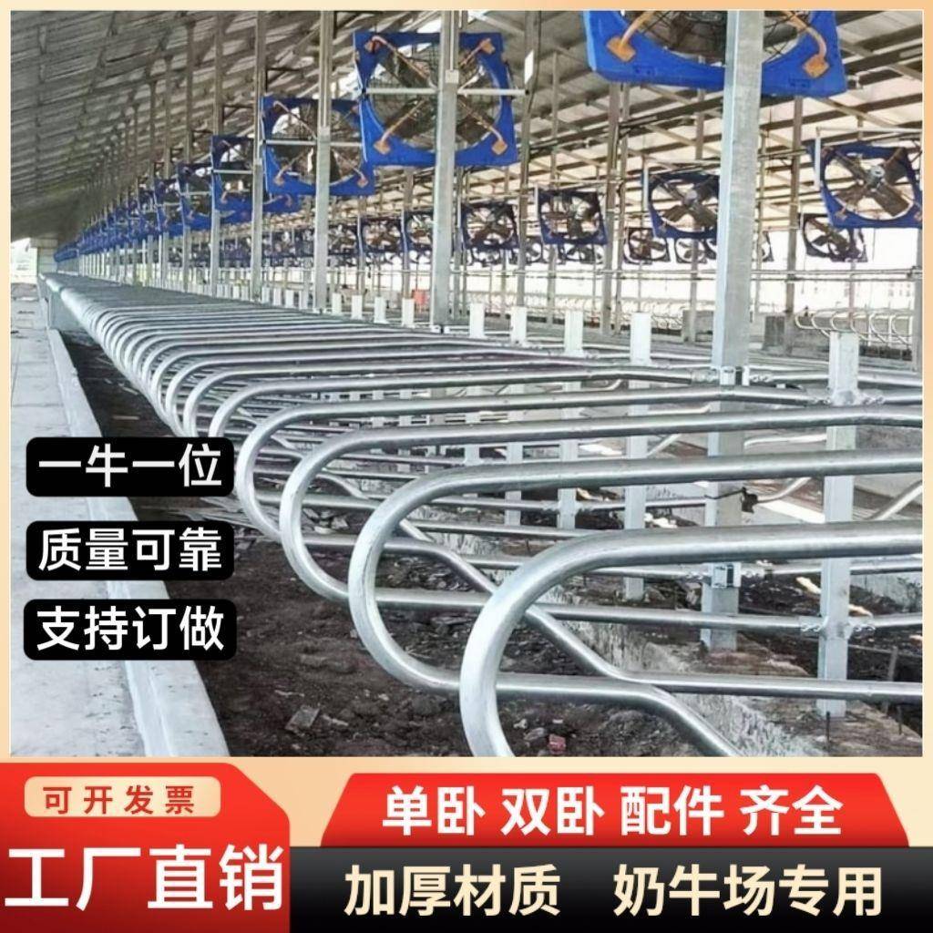 牛卧床配件牛场专用加厚热镀锌奶牛养殖场设备单卧双卧牛卧隔离栏