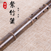 紫竹箫成人学生初学入门专业高档精制一节素洞箫八孔FG调民族乐器