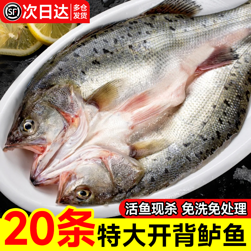 鲈鱼新鲜开背海鲈鱼鲜活冷冻