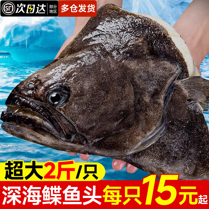 鲽鱼深海格陵兰新鲜冷冻鱼头超大整条现切比目鱼商用海鲜水产鲽鱼