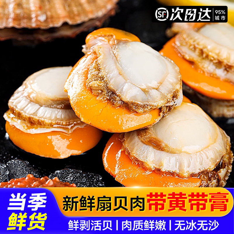 扇贝肉新鲜冷冻带黄超级大号粉丝扇贝黄蚬子鲜活批发商用海鲜红贝,水产肉类/新鲜蔬果/熟食,贝类制品,淘宝优惠券,粉丝福利购,淘宝优惠卷