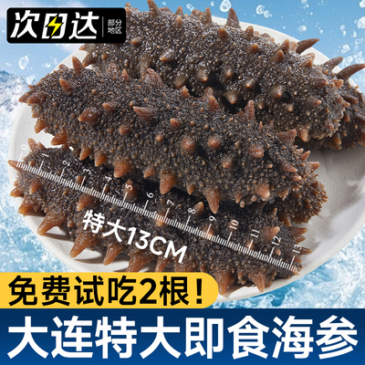 海参礼盒正品即食大连鲜活特大