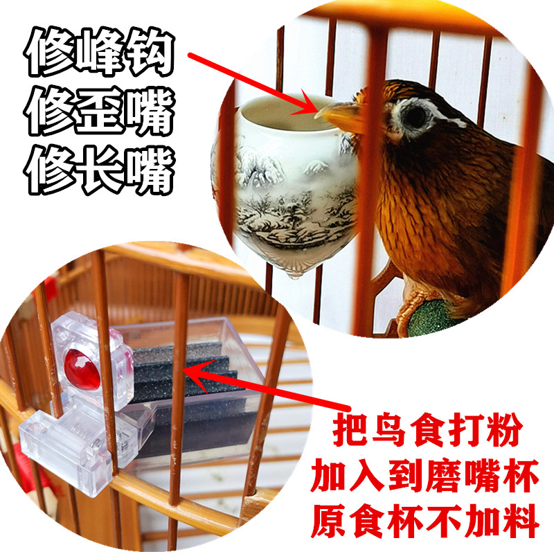 画眉鸟磨嘴沙杯磨嘴器磨砂修嘴杯峰钩鸟食杯罐鸟笼配件杯子
