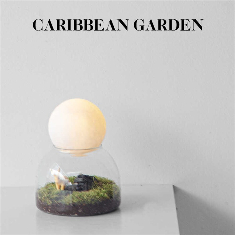 观月许愿瓶微景观草坪盆栽办公室桌面创意迷你摆件绿植中秋节礼物