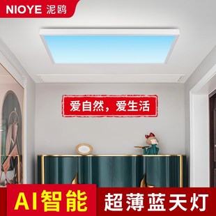 青晴空灯明装 过道灯走廊入户门玄关灯 极薄无缝吸顶阳台灯2024新款