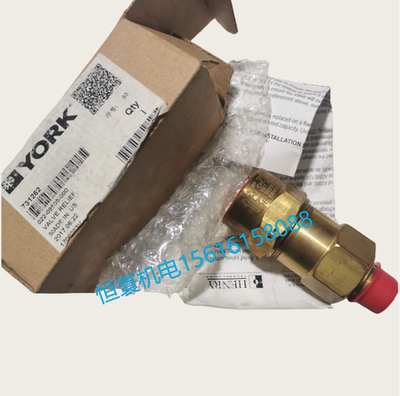 022-09505-000 02209505000 022 09505 000 原装约克安全阀