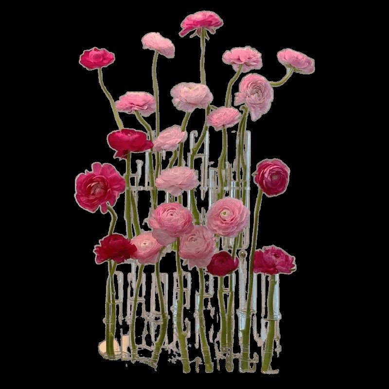 玻璃花瓶器皿水培透明一排试管客厅插花家居桌面摆件高颜简约款式