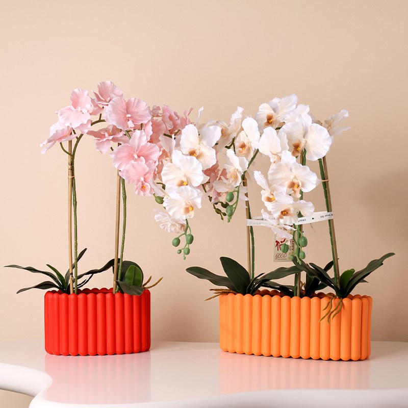 长圆形条纹单株蝴蝶兰花盆陶瓷新年年宵北欧简约绿萝办公室有孔