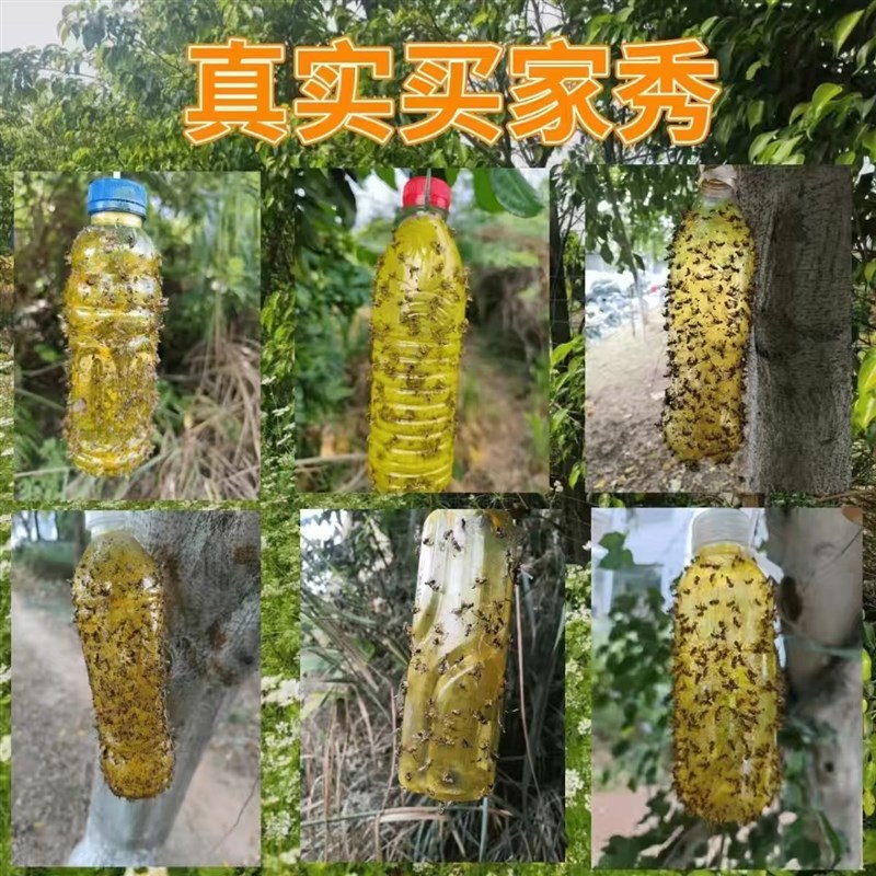 瓜果实蝇诱捕剂瓜实蝇果实蝇针蜂诱粘剂瓜果园神器大实蝇诱粘喷剂