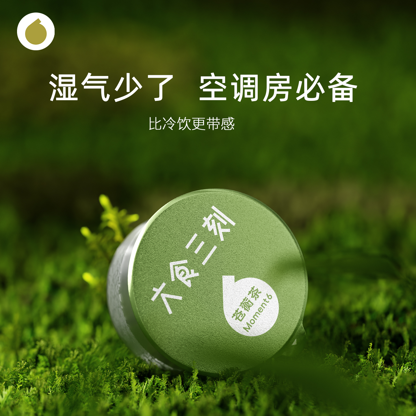 六食三刻五指毛桃炒去湿气祛湿排毒体内湿寒健脾祛湿夏季款养生茶