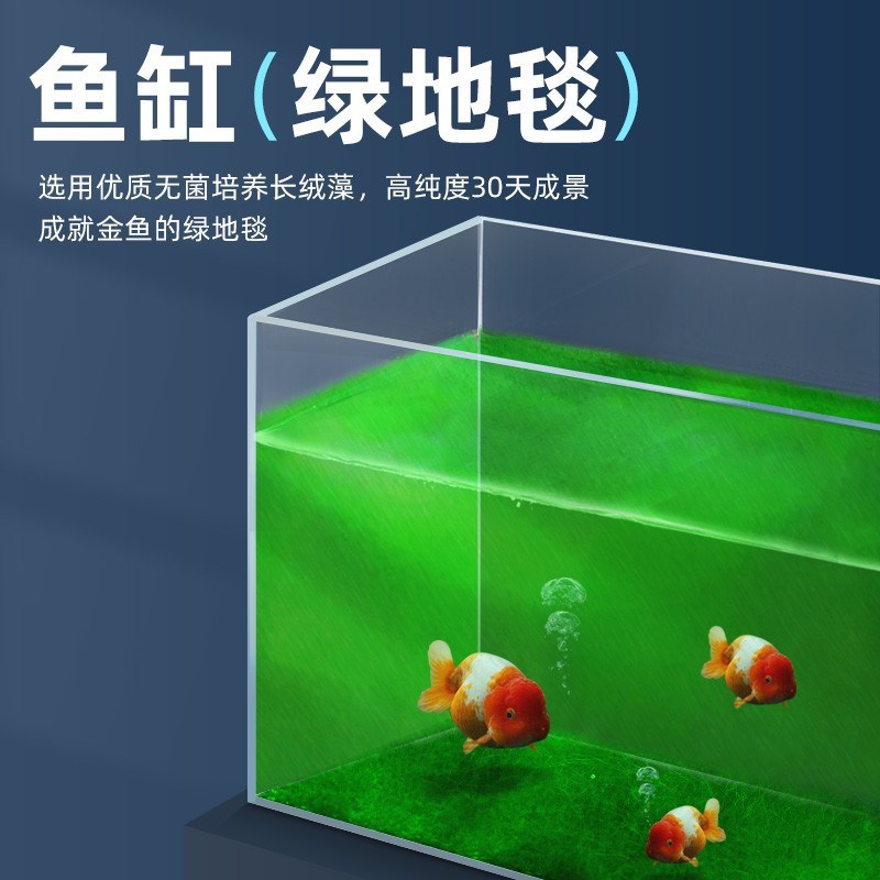 长绒藻短绒藻孢子绿水藻鱼缸爆藻绿藻绿苔种鱼缸造景爆藻长藻饲料