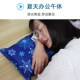 夏天水枕头大人免注水成人大号冰垫冰枕头儿童午休降温冰凉水袋