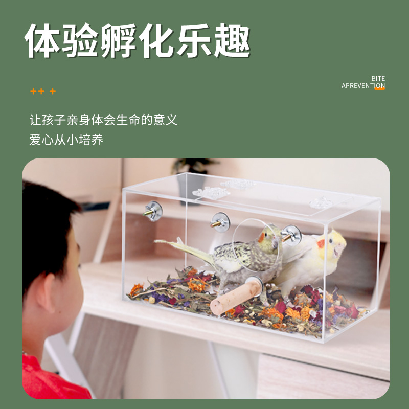 鹦鹉繁殖箱亚克力大号鸟窝幼鸟恒温保温箱牡丹育雏玄凤孵化箱鸟巢
