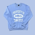Sky Blue 6113
