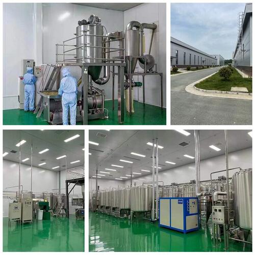 甄选丹参酮IIA  提取物植物萃取2A  现货包邮 泽邦供应 厂家