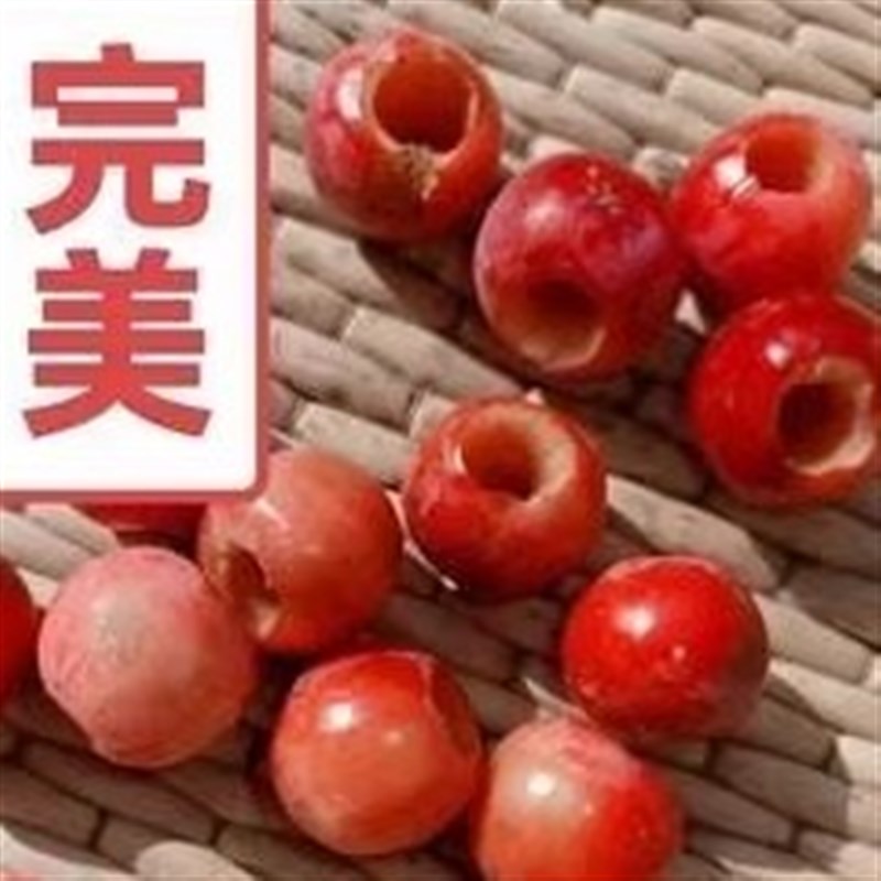 山楂去核机神器 山里红去胡器 红枣去核冰糖葫芦山楂去子去籽机器