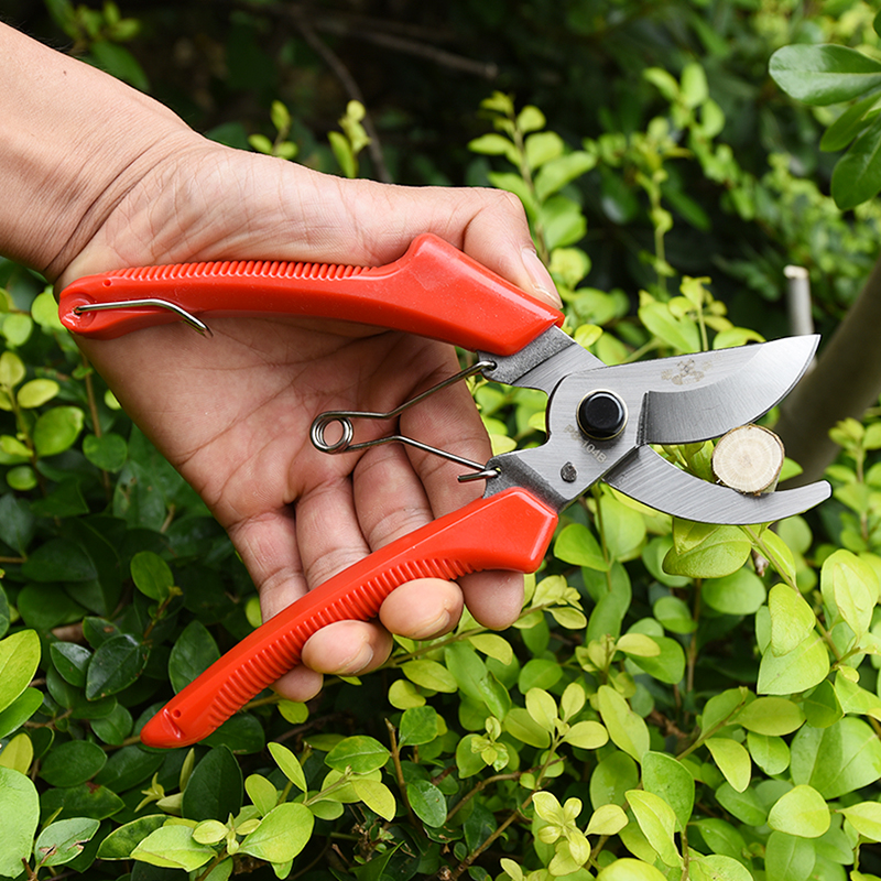 蝴蝶牌修枝剪粗枝剪枝剪整枝剪 蝴蝶120剪刀园林园艺剪包邮剪刀