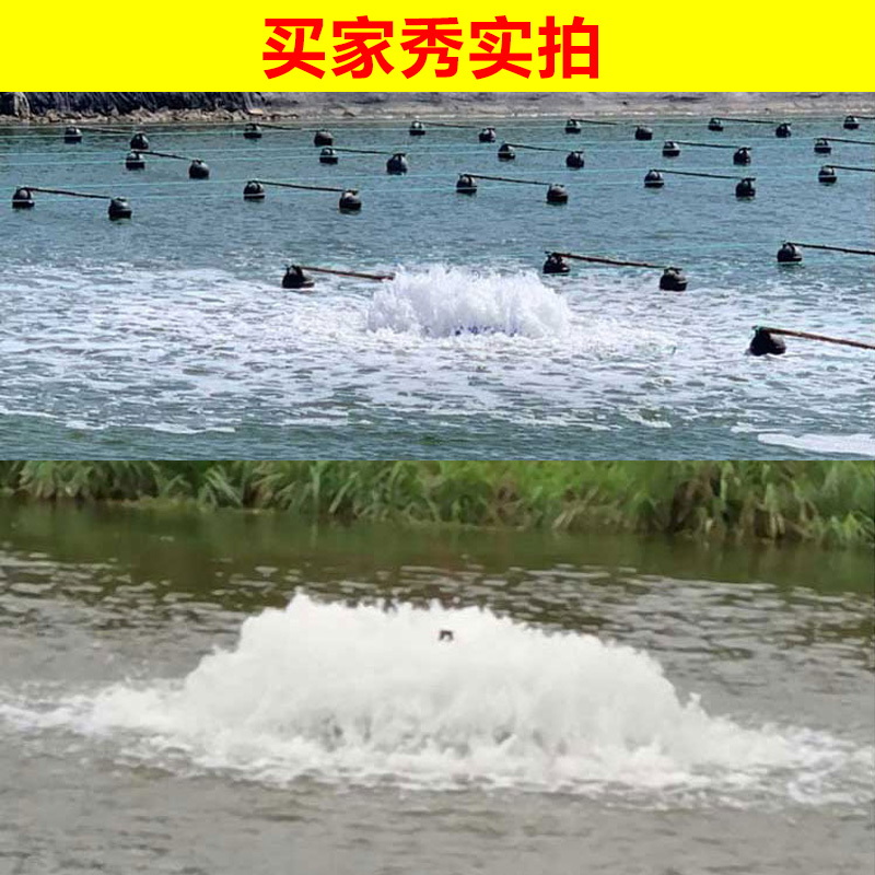 鱼塘变频增氧机养殖场大型大功率380V220V叶轮式涌浪曝气式增氧泵
