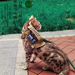 战术猫胸背猫咪牵引绳背心式可调节外出缅因豹猫遛猫小型狗套背