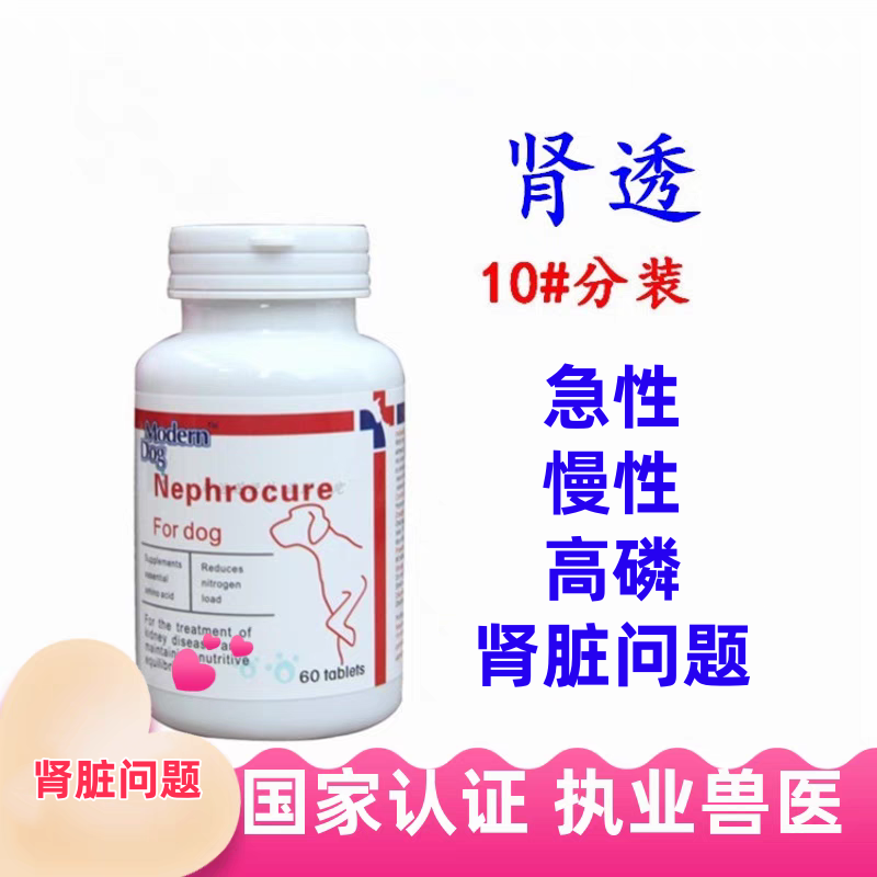 肾透肾舒摩登狗犬猫高磷肌酐肾脏