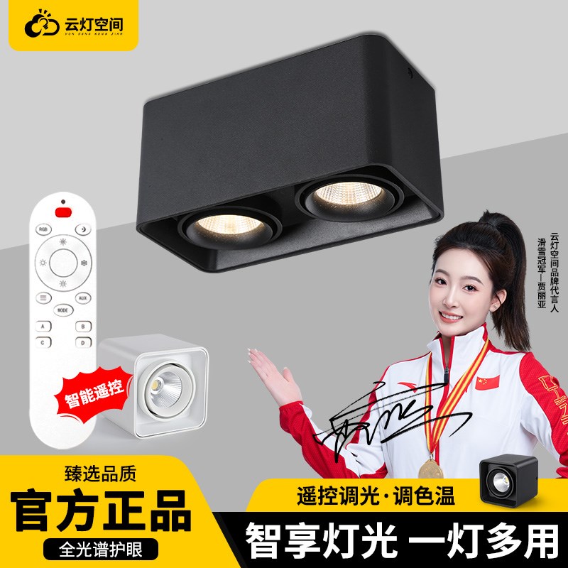 明装射灯智能遥控led天花灯双头可调角度客厅调光过道斗胆led筒灯