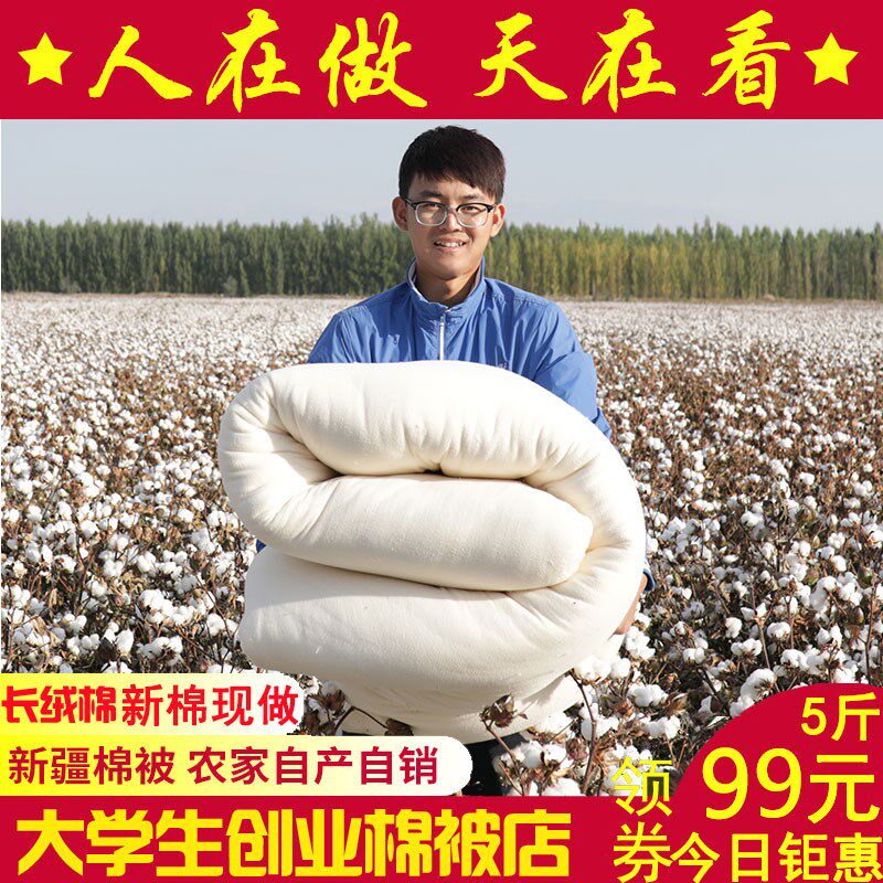 新疆棉被冬被加厚保暖10斤棉花被芯纯棉花手工R棉被定做棉絮被芯