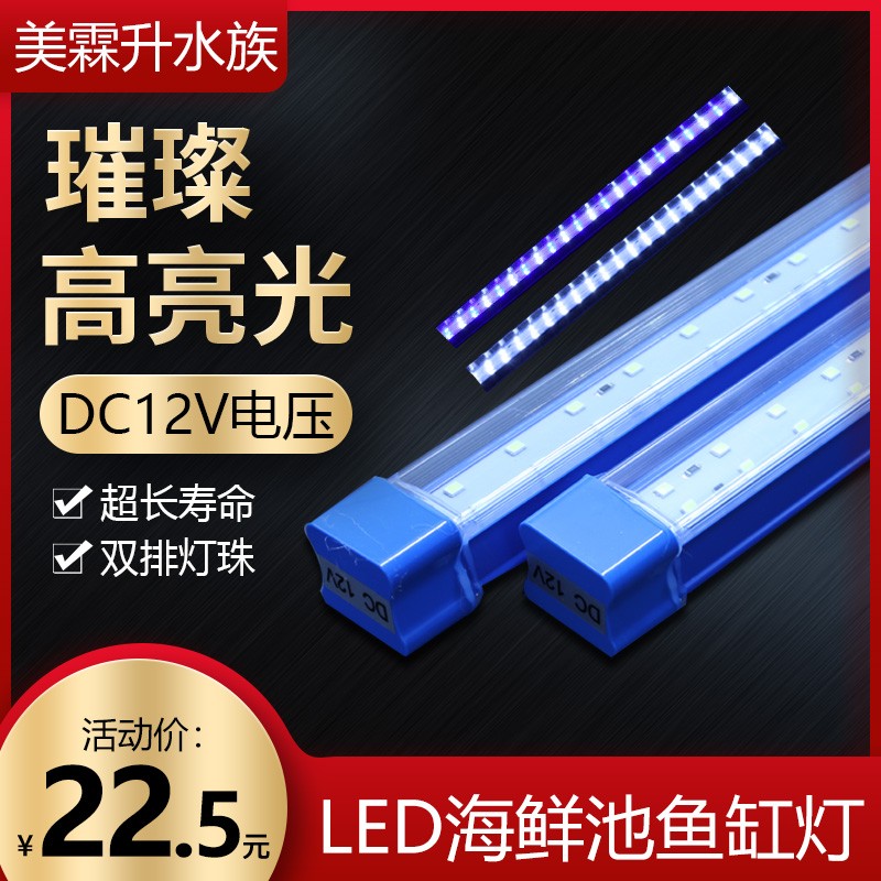 12V海鲜池鱼缸灯LED灯防水鱼缸LED照明灯 需外接变压器电源方可用