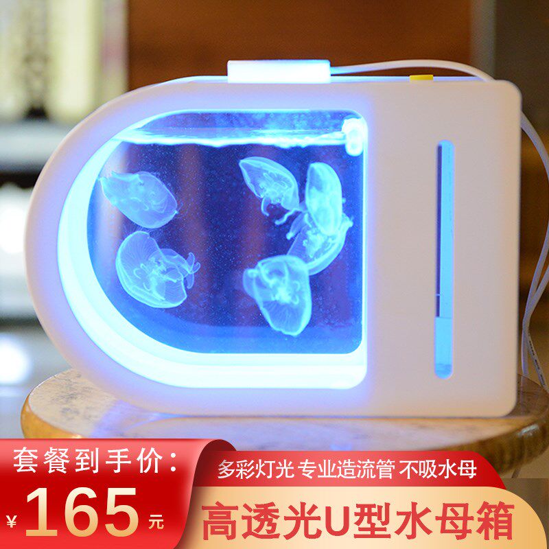 智能循环水母缸活物好养儿童学生桌面活的活宠物迷你懒人水族箱