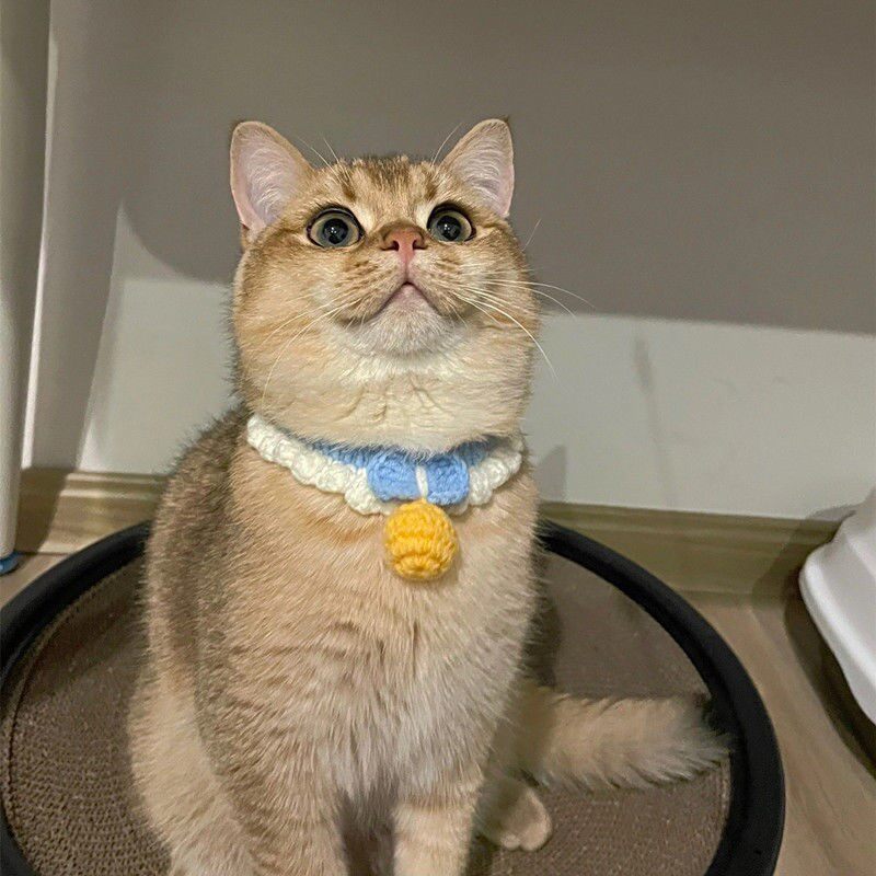 猫咪项圈无声铃铛可调节狗狗小型犬手工针织围脖英短美短宠物脖圈