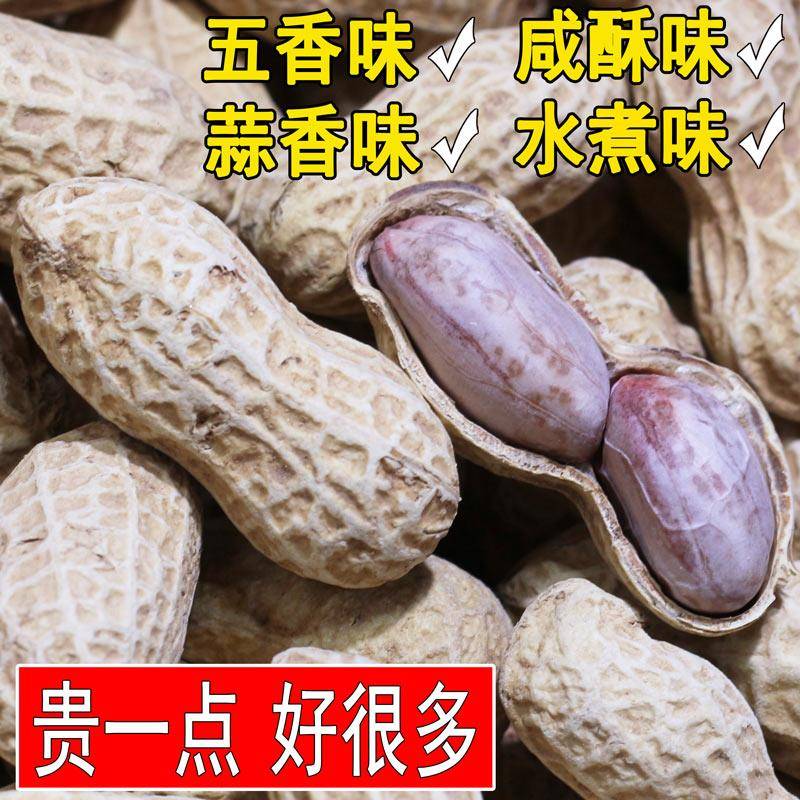龙岩花生带壳水煮白晒盐咸干花生500g袋装零食坚果特产小吃
