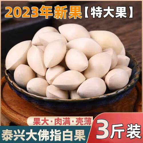 2024年新果特大白果新鲜白果泰兴银杏果带壳生的饱满不漂白3斤