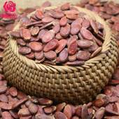 红 子红生瓜新货炒货生 家乡散装 天然原味西瓜今年坚果饱满瓜子